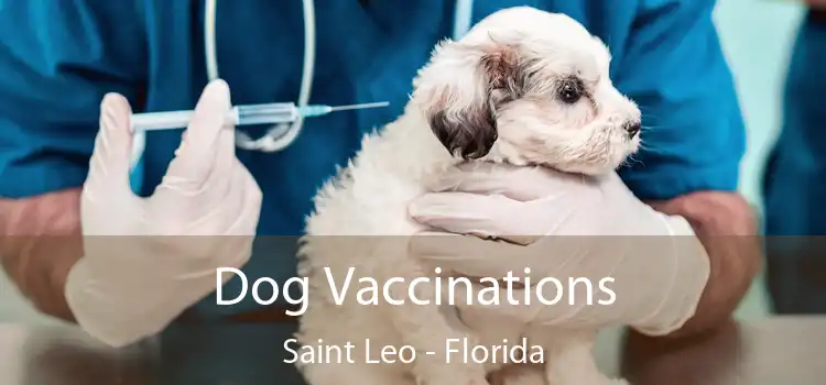Dog Vaccinations Saint Leo - Florida
