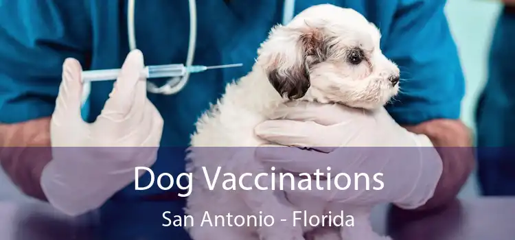 Dog Vaccinations San Antonio - Florida