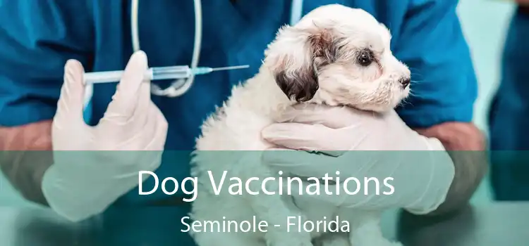 Dog Vaccinations Seminole - Florida