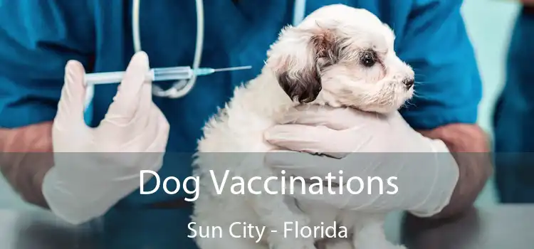 Dog Vaccinations Sun City - Florida