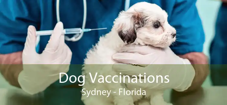 Dog Vaccinations Sydney - Florida