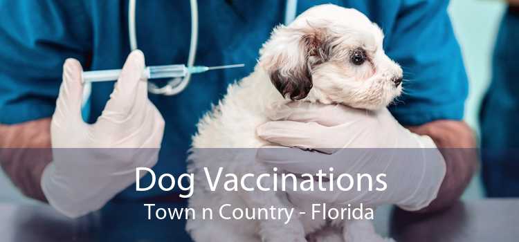 Dog Vaccinations Town n Country - Florida