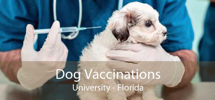 Dog Vaccinations University - Florida