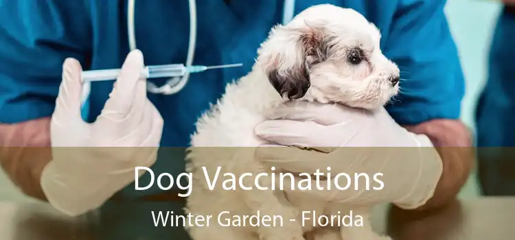 Dog Vaccinations Winter Garden - Florida