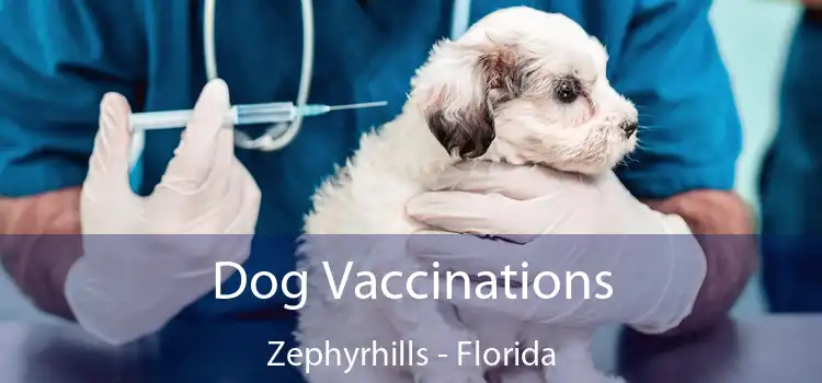 Dog Vaccinations Zephyrhills - Florida