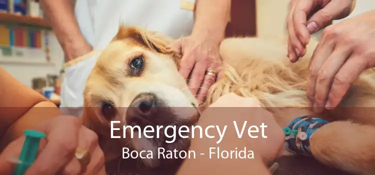 Emergency Vet Boca Raton - Florida
