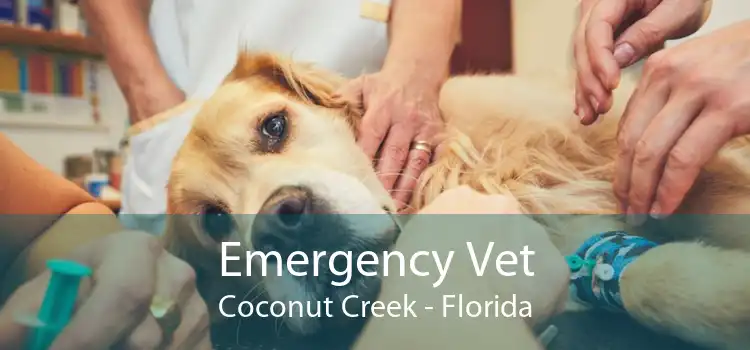 Emergency Vet Coconut Creek - Florida