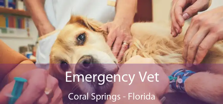 Emergency Vet Coral Springs - Florida