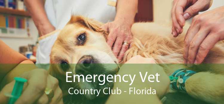 Emergency Vet Country Club - Florida