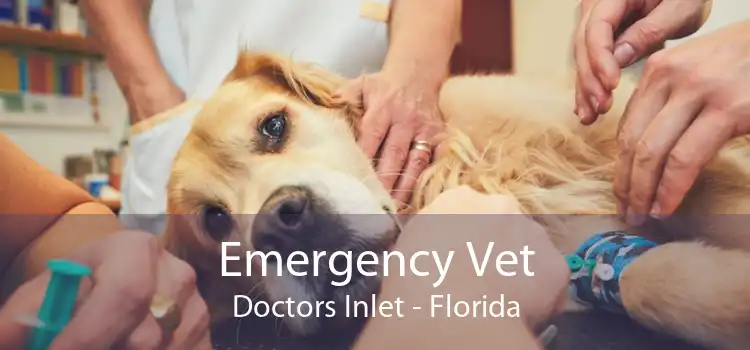 Emergency Vet Doctors Inlet - Florida