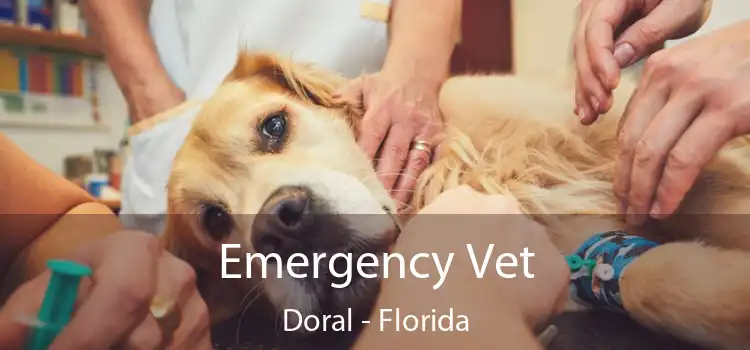 Emergency Vet Doral - Florida