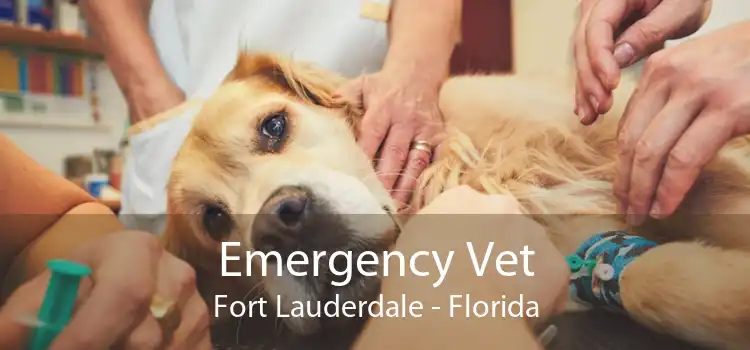 Emergency Vet Fort Lauderdale - Florida