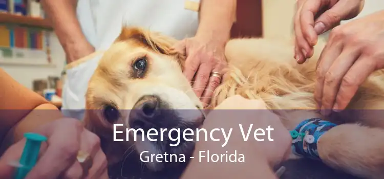 Emergency Vet Gretna - Florida