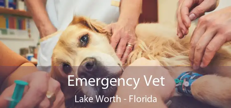 Emergency Vet Lake Worth - Florida