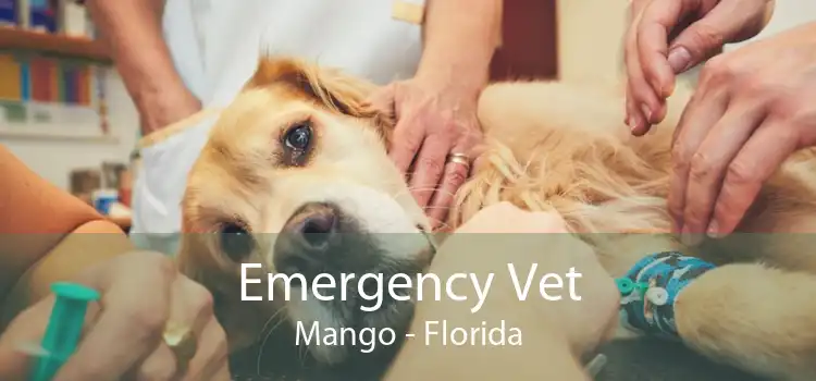 Emergency Vet Mango - Florida