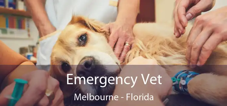 Emergency Vet Melbourne - Florida