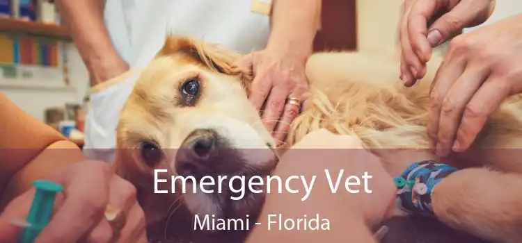 Emergency Vet Miami - Florida