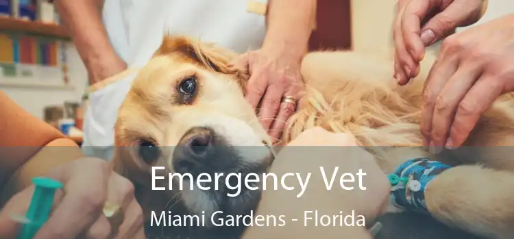 Emergency Vet Miami Gardens - Florida