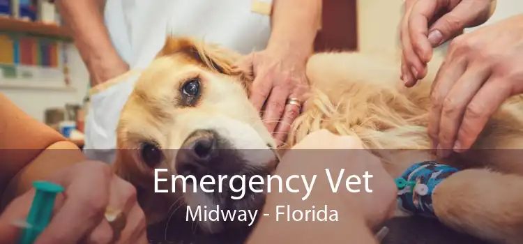 Emergency Vet Midway - Florida