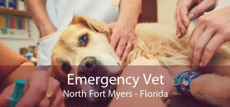 Emergency Vet North Fort Myers - Florida