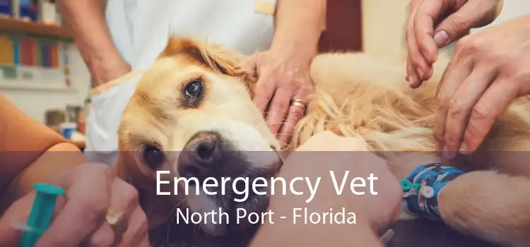 Emergency Vet North Port - Florida
