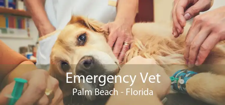 Emergency Vet Palm Beach - Florida