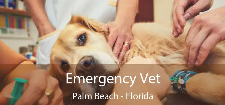 Emergency Vet Palm Beach - Florida