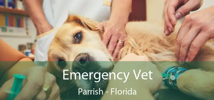 Emergency Vet Parrish - Florida