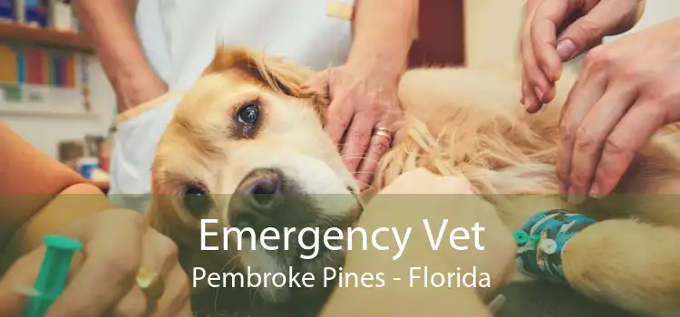 Emergency Vet Pembroke Pines - Florida