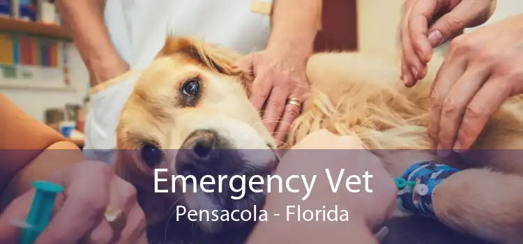 Emergency Vet Pensacola - Florida