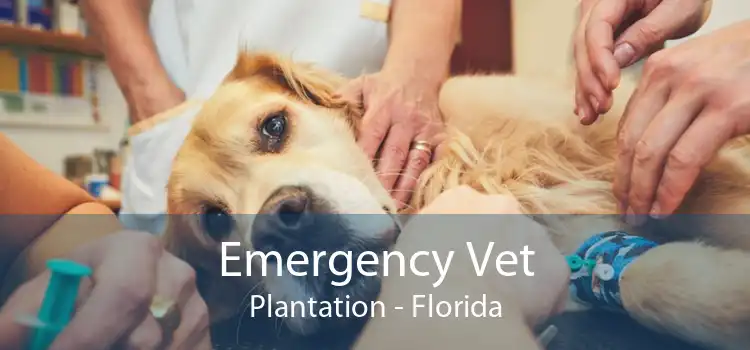 Emergency Vet Plantation - Florida