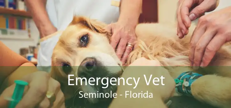 Emergency Vet Seminole - Florida