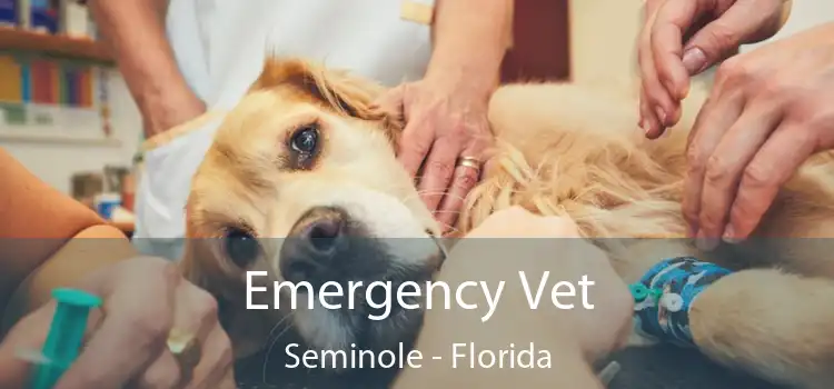Emergency Vet Seminole - Florida