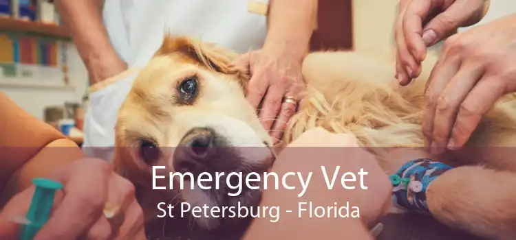 Emergency Vet St Petersburg - Florida