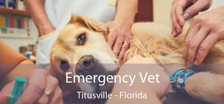 Emergency Vet Titusville - Florida