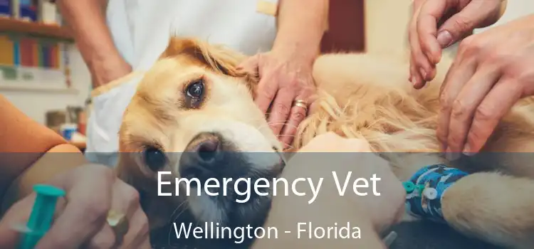 Emergency Vet Wellington - Florida
