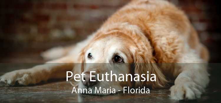 Pet Euthanasia Anna Maria - Florida