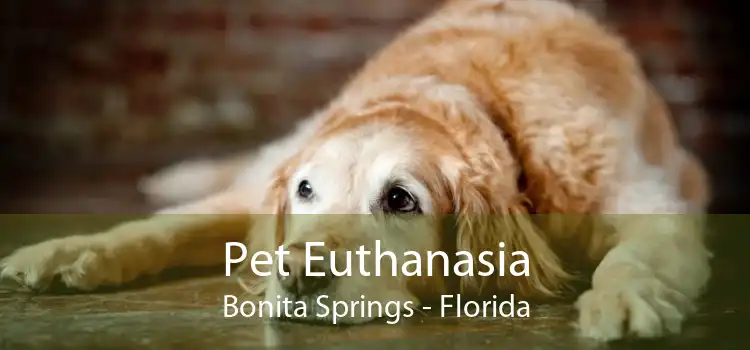 Pet Euthanasia Bonita Springs - Florida