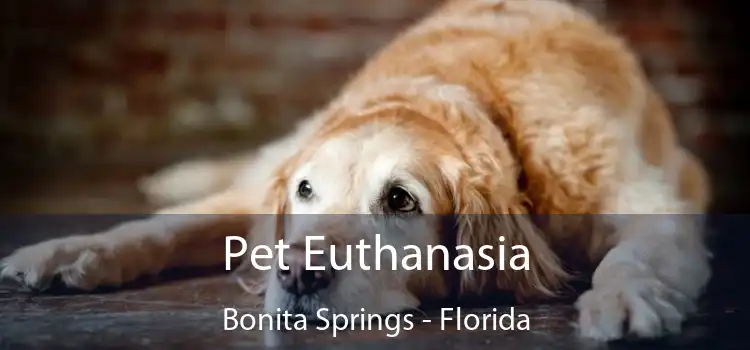 Pet Euthanasia Bonita Springs - Florida