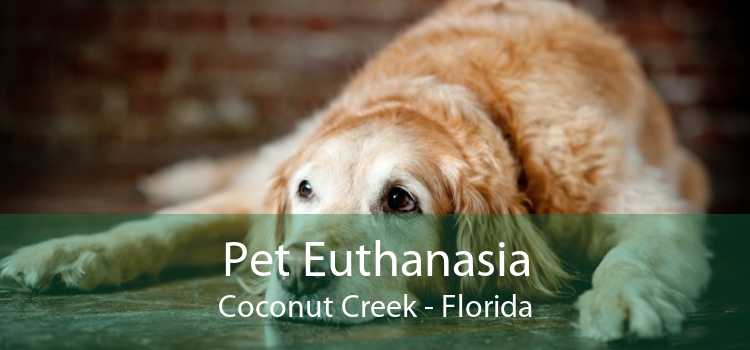Pet Euthanasia Coconut Creek - Florida