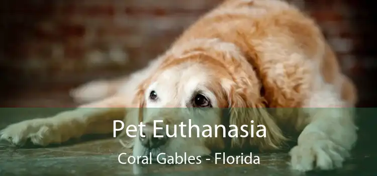 Pet Euthanasia Coral Gables - Florida