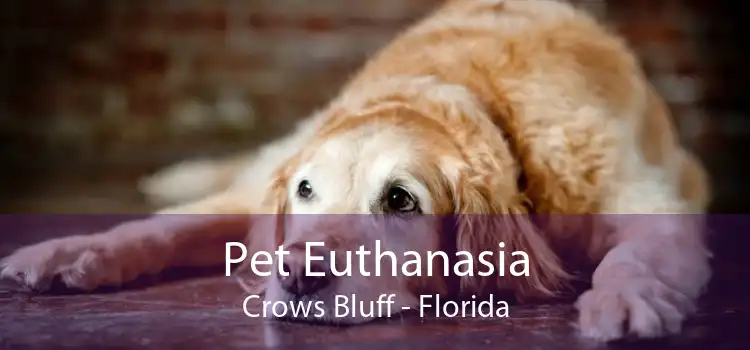 Pet Euthanasia Crows Bluff - Florida