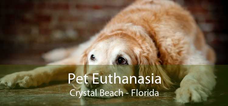Pet Euthanasia Crystal Beach - Florida