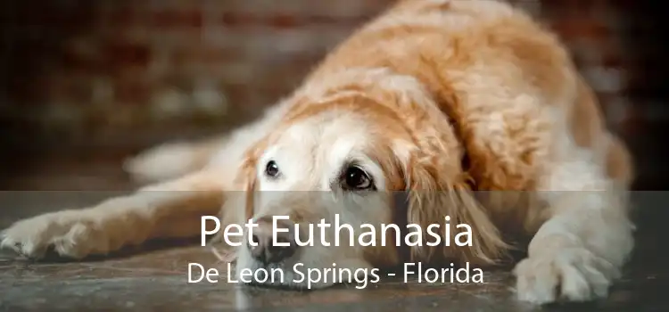 Pet Euthanasia De Leon Springs - Florida