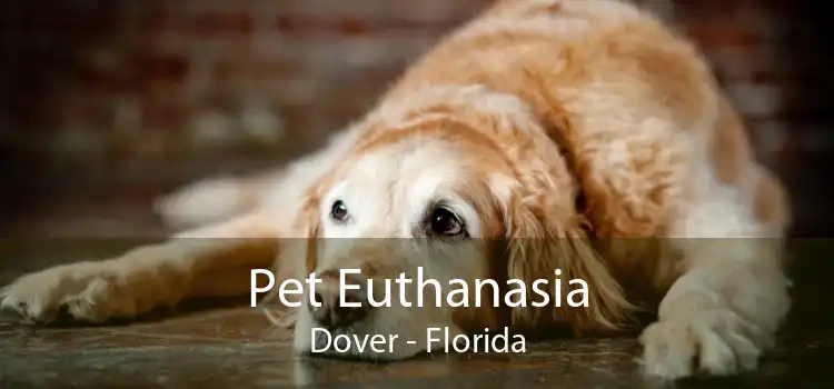 Pet Euthanasia Dover - Florida