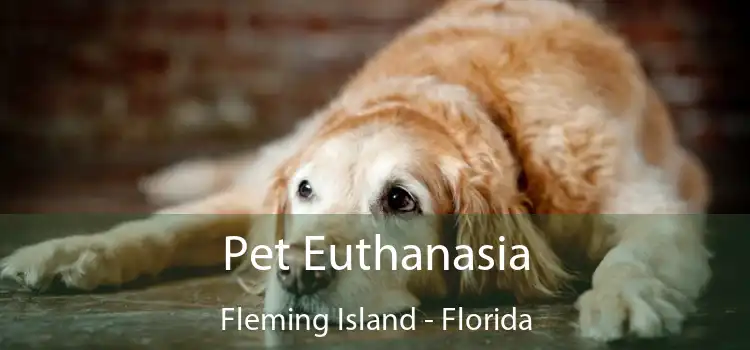 Pet Euthanasia Fleming Island - Florida