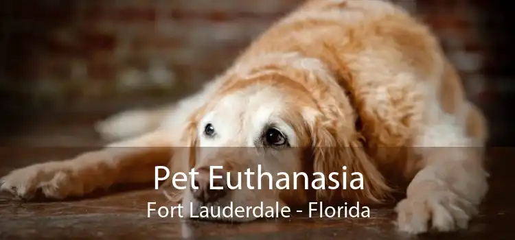 Pet Euthanasia Fort Lauderdale - Florida