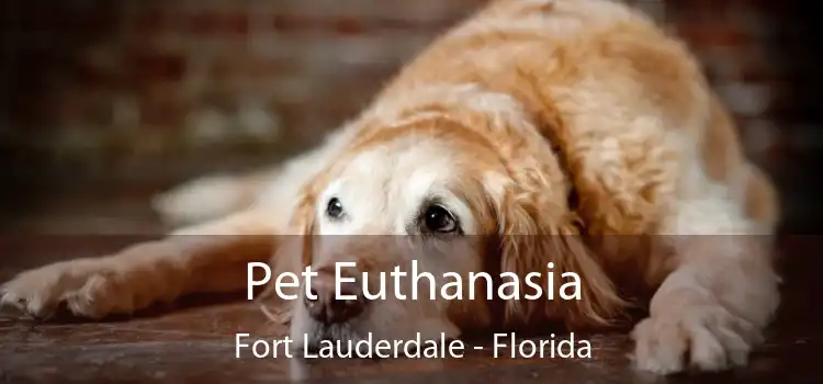 Pet Euthanasia Fort Lauderdale - Florida