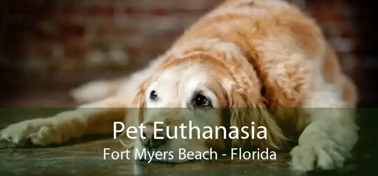 Pet Euthanasia Fort Myers Beach - Florida