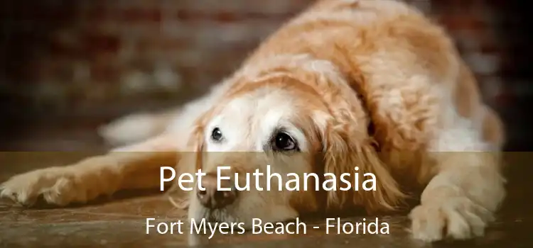 Pet Euthanasia Fort Myers Beach - Florida